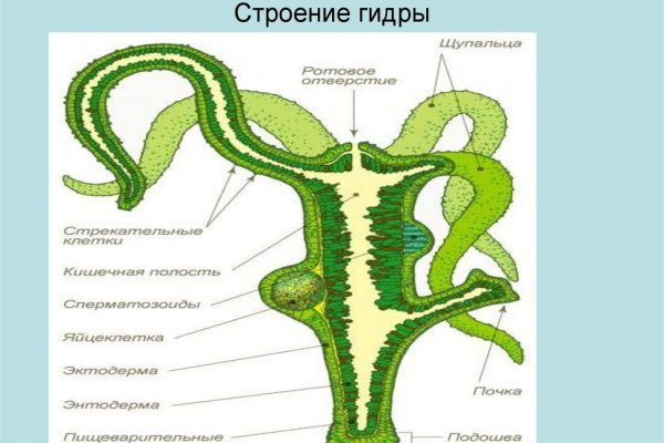 Вход на мега даркнет